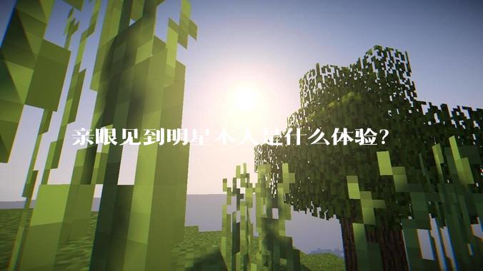 亲眼见到明星本人是什么体验？