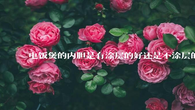 电饭煲的内胆是有涂层的好还是不涂层的好？纠结这买哪种?