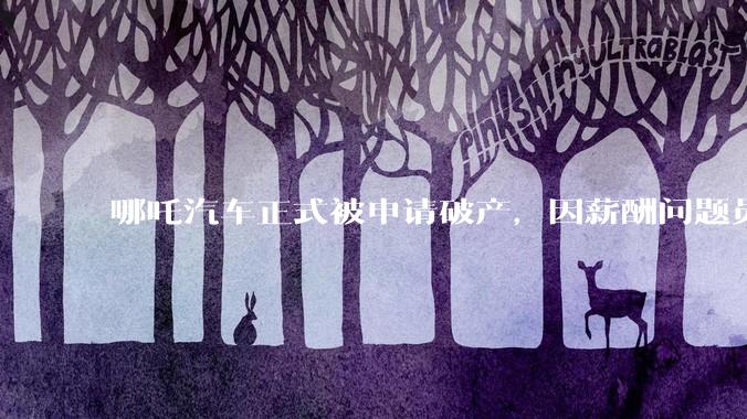 哪吒汽车正式被申请破产，因薪酬问题员工已两月没去上班，被申请破产意味着什么？员工权益还能得到保障吗？