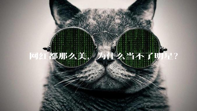 网红都那么美，为什么当不了明星？